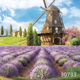 Мельница на цветочном поле