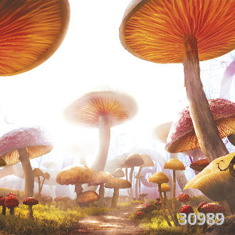 Грибная дорога