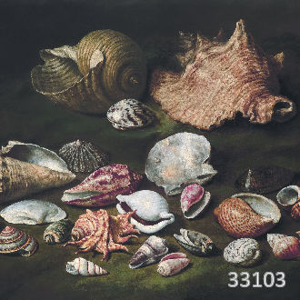 Натюрморт с ракушками