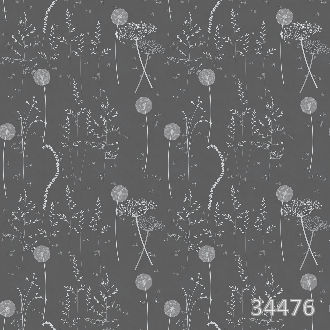 Одуванчики